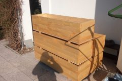 IMG_20200325_085850