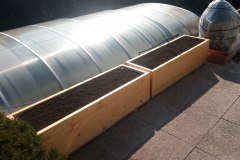 IMG_20200325_143047