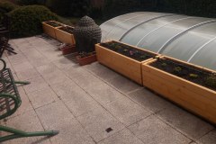 IMG_20200424_125957-1